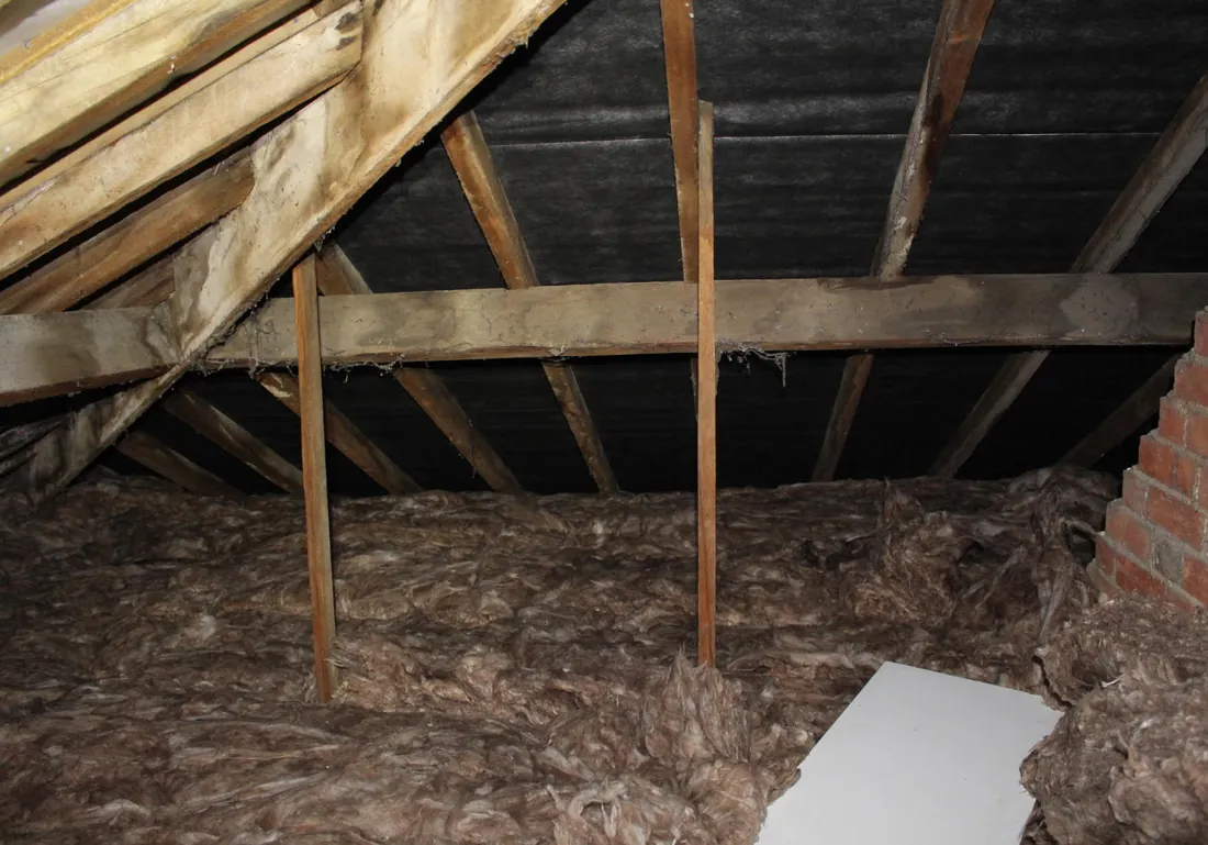 Century-old roof timbers surveyed ahead of future solar PV